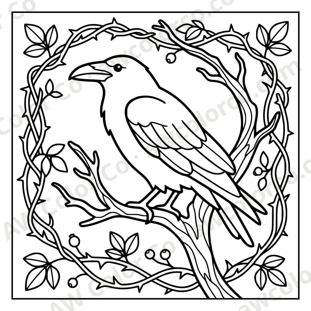 Coloring page: a raven on a thorny branch